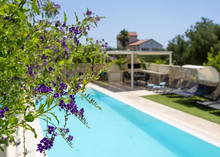 Aqua * ז'אבוריץ'